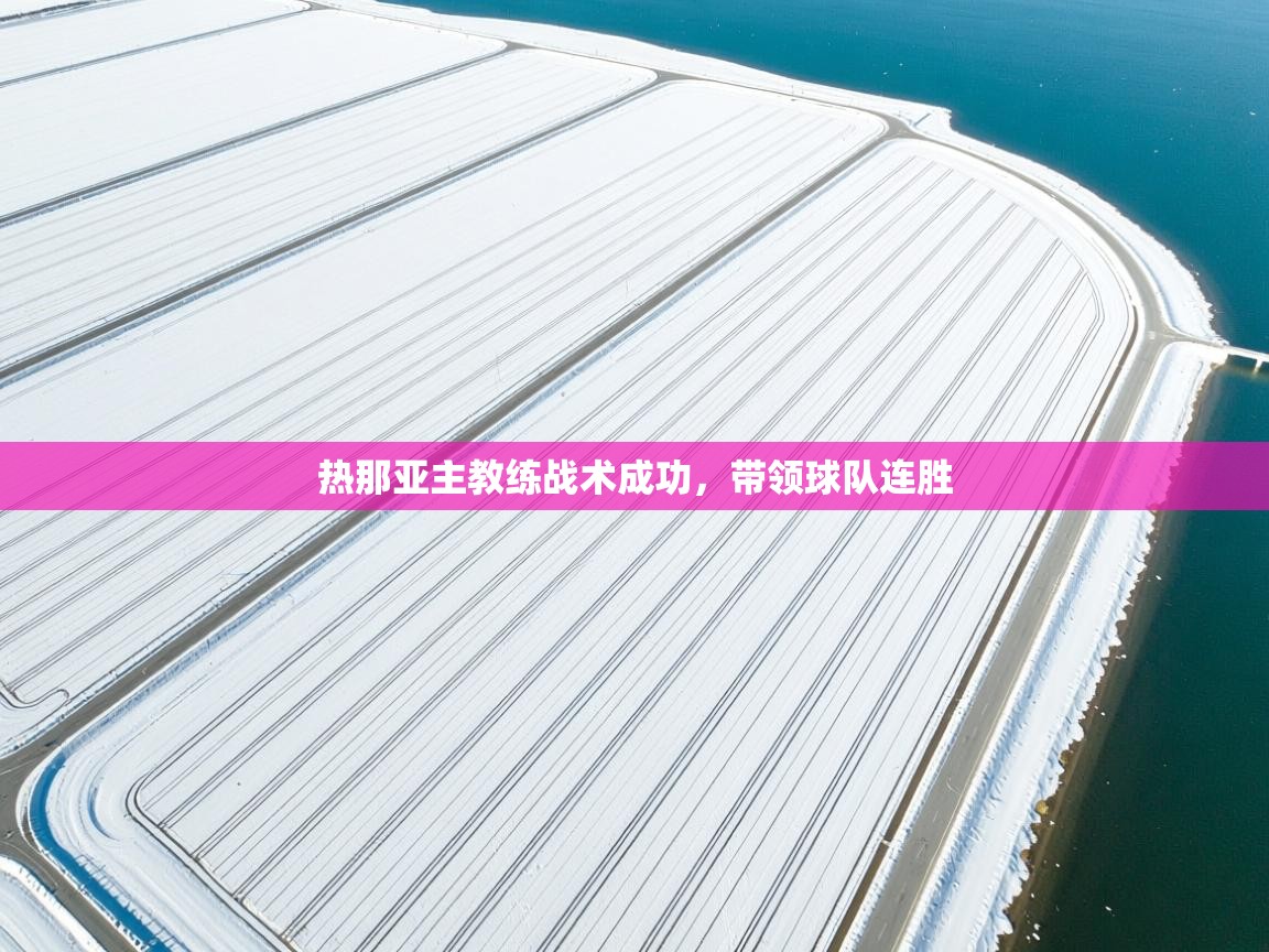 热那亚主教练战术成功,带领球队连胜 第2张