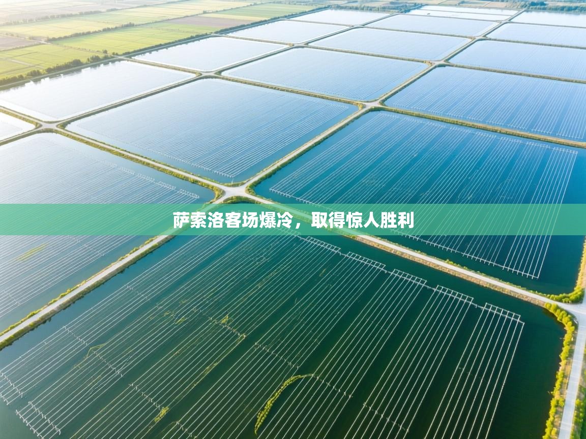 萨索洛客场爆冷,取得惊人胜利 第2张