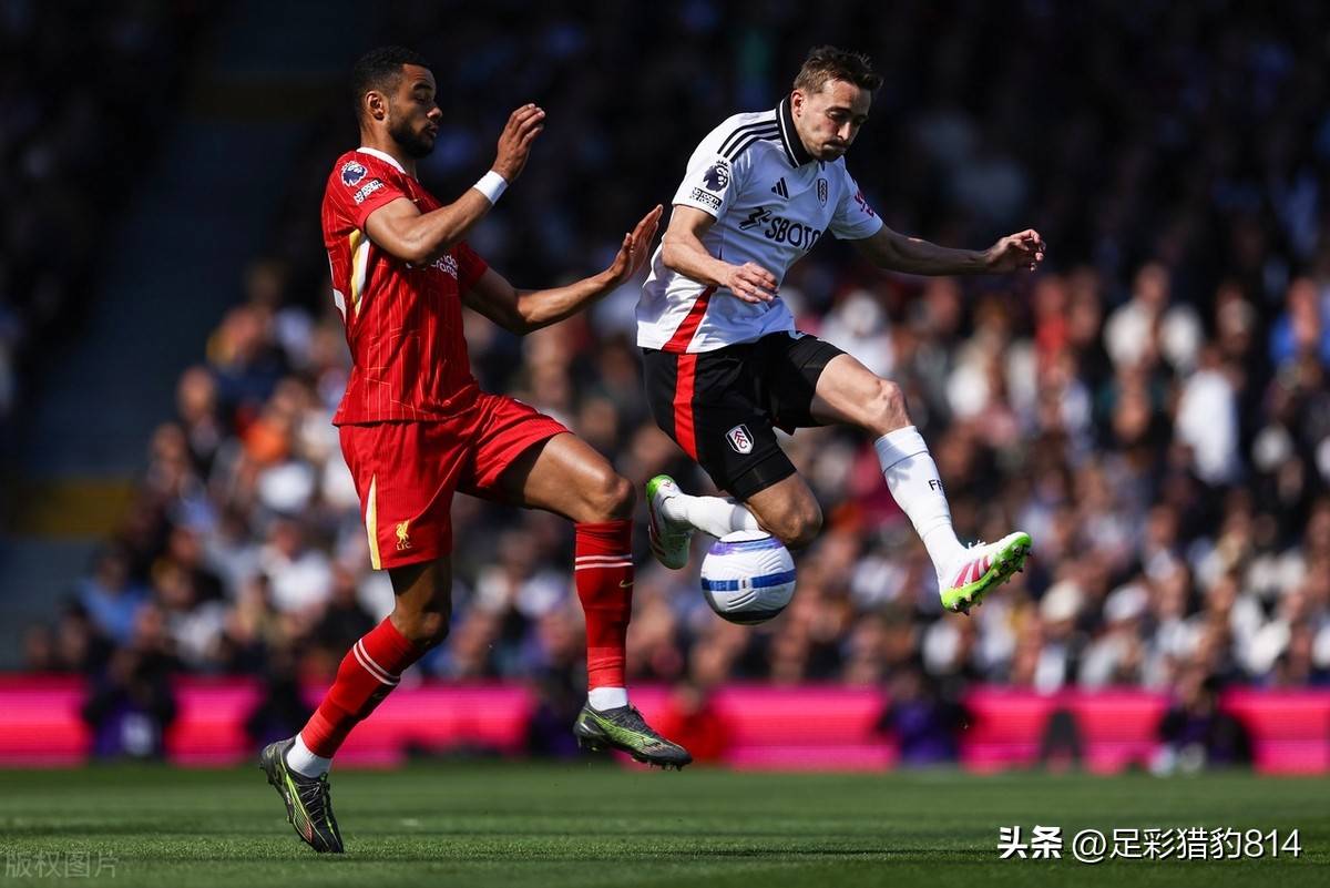 九游体育入口-富勒姆遭遇连败，保级希望渐渐渺茫的简单介绍