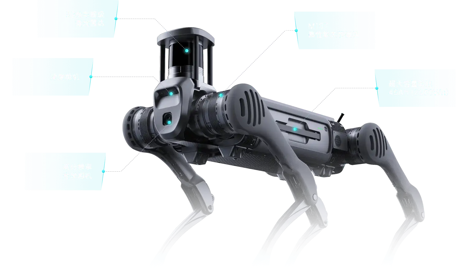 九游体育app下载-德国击剑选手突破极限，打破记录